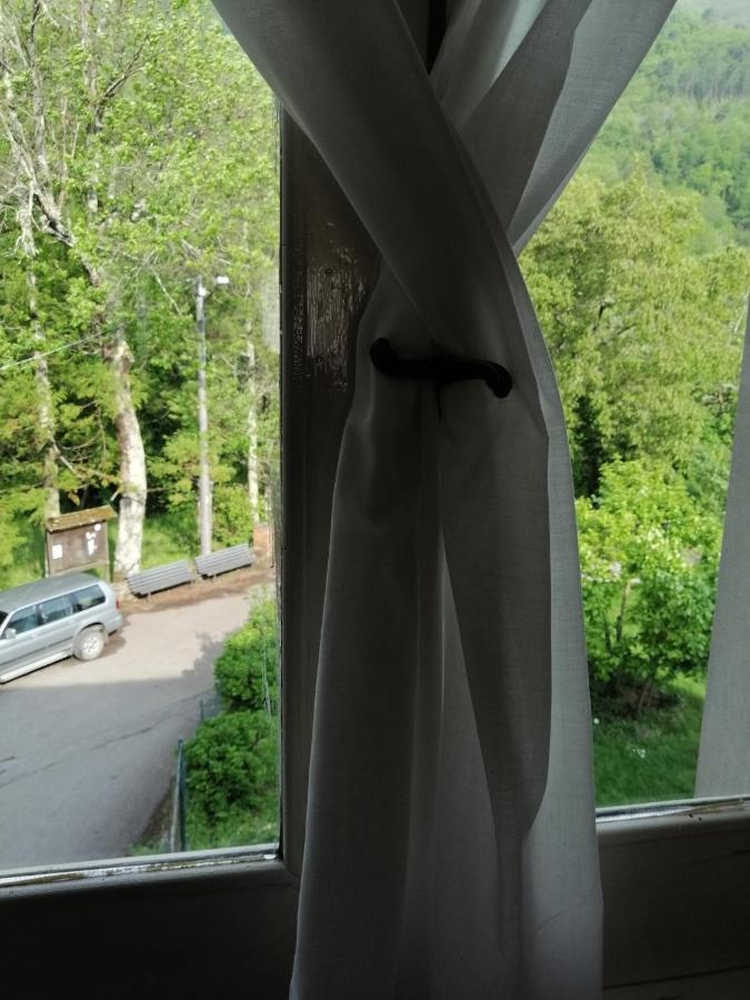 B&B Alle Ortensie Blu Sesta Godano Экстерьер фото