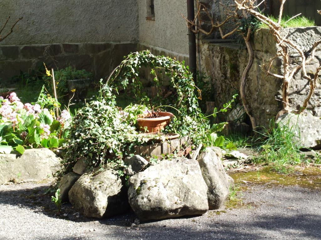 B&B Alle Ortensie Blu Sesta Godano Экстерьер фото