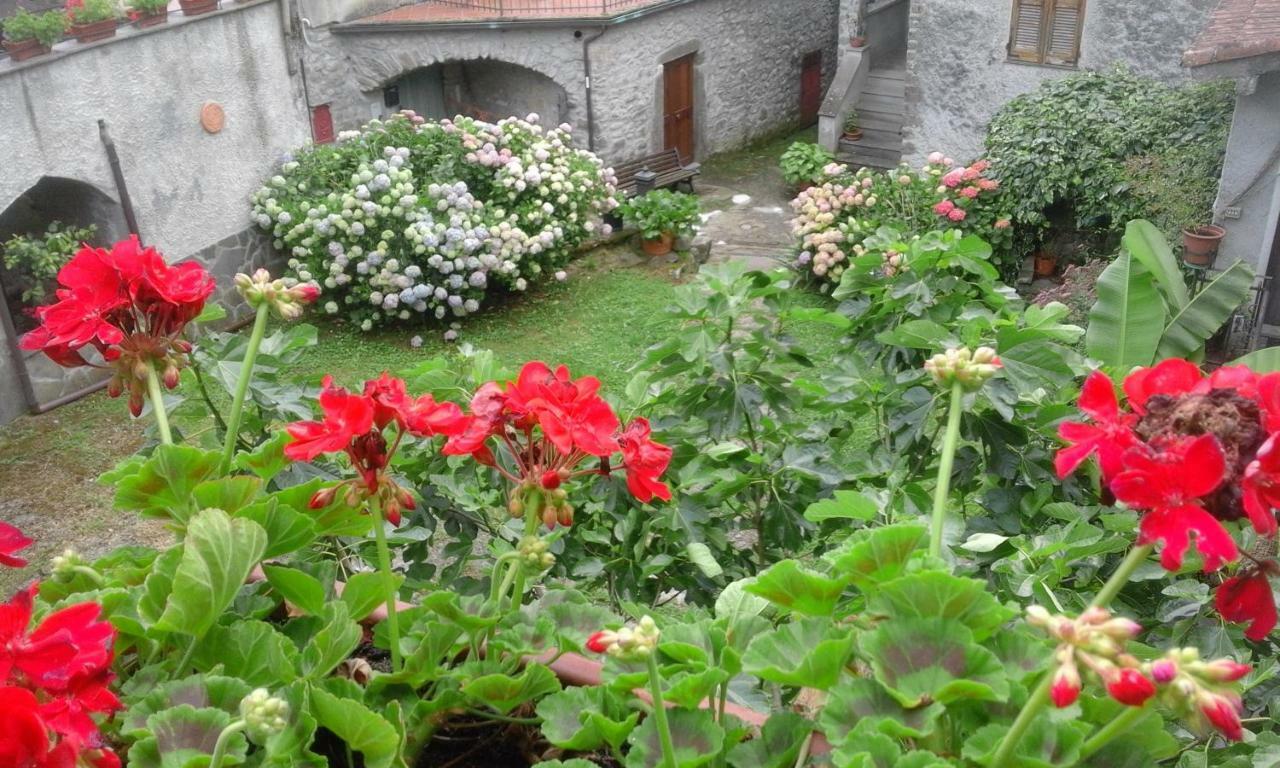 B&B Alle Ortensie Blu Sesta Godano Экстерьер фото